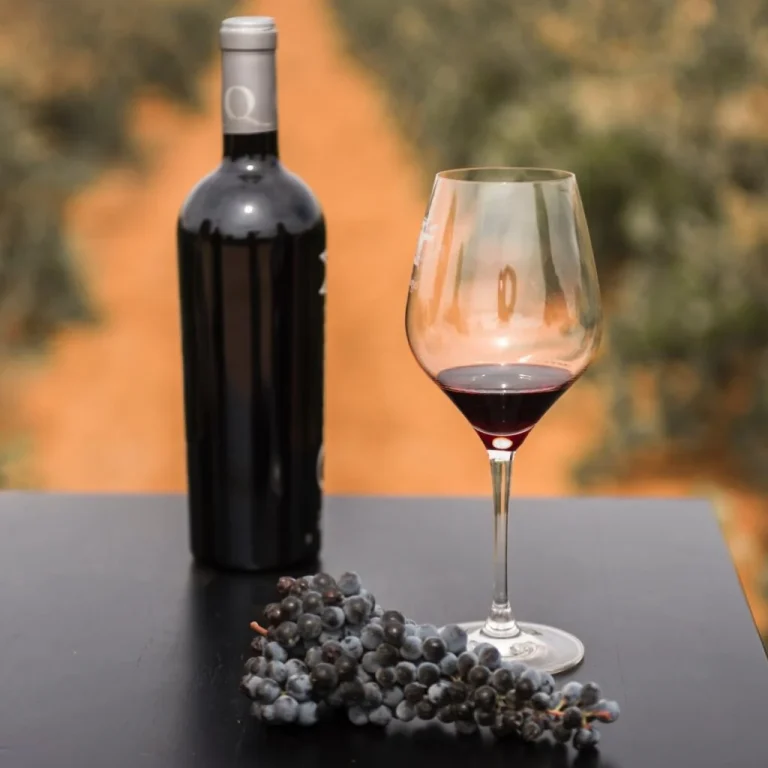 Sabores únicos, paisajes para el recuerdo y experiencias para todo tipo de públicos en la Ruta del Vino de La Mancha