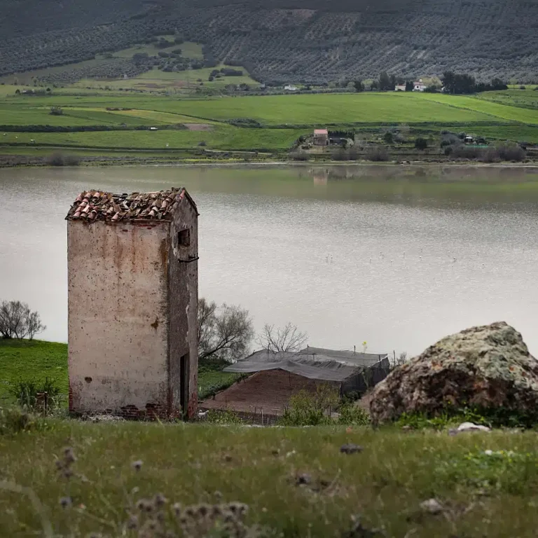 Guía para buscar los 350 volcanes calatravos sin perderse en el intento